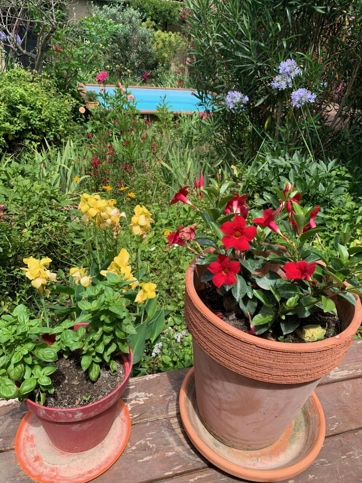Un Temps Pour Le Reve Bed and Breakfast Valence  Buitenkant foto