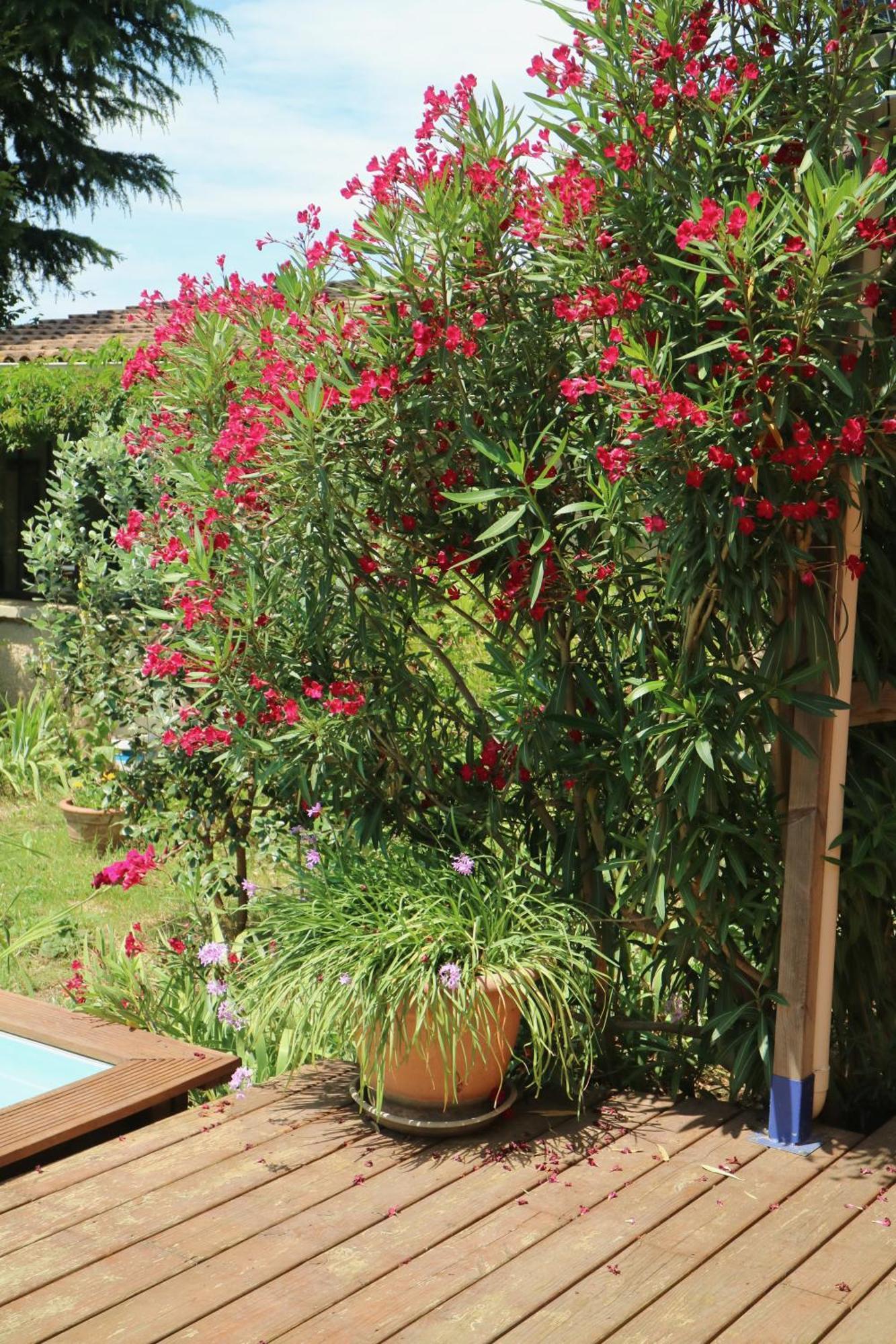 Un Temps Pour Le Reve Bed and Breakfast Valence  Buitenkant foto